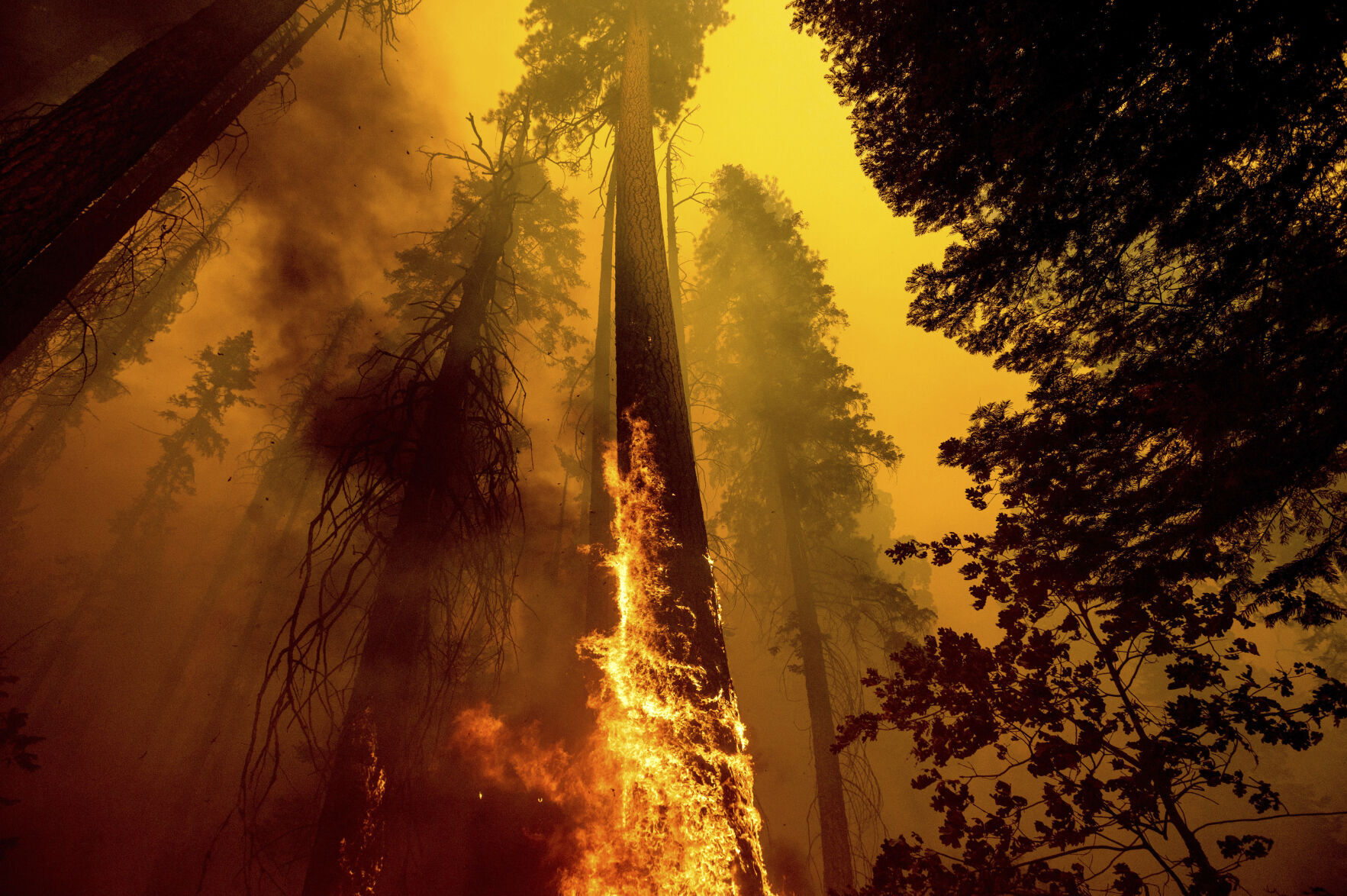 APTOPIX Western Wildfires